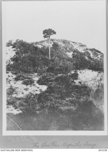 The Lone Pine before the charge, August 1915. Image courtesy Australian War Memorial.