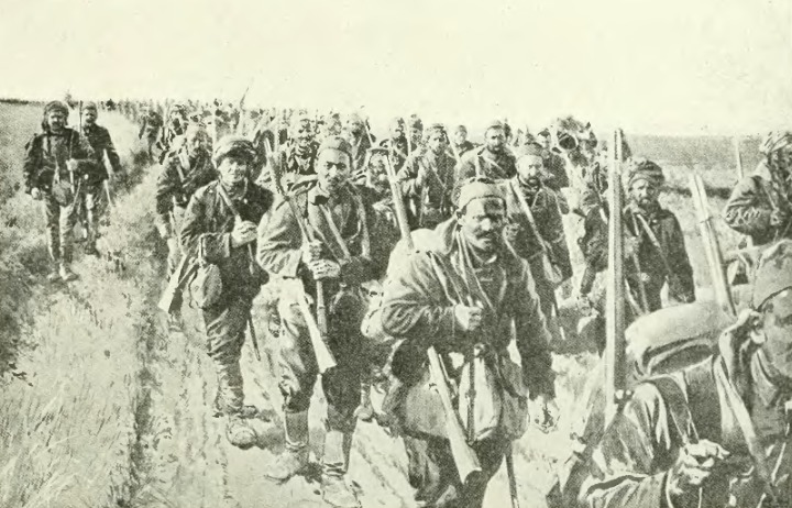 30 November 1914