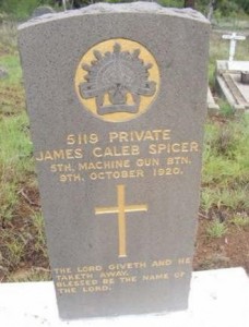 James' headstone, Byng Cemetery. Image courtesy Lyn Hudson-Williamson.