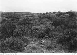 View of Baby 700 from Battleship Hill, George Hubert Wilkins, 1919. Image courtesy Australian War Memorial.