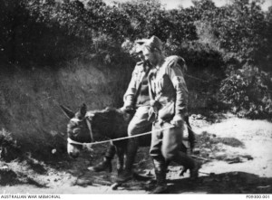 Private John Simpson with a wounded soldier on his donkey in Shrapnel Gully at Anzac Cove in 1915. Image courtesy Australian War Memorial.