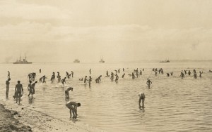 AIF troops bathing at Anzac Beach, Gallipoli, 1915. Image courtesy Australian War Memorial.