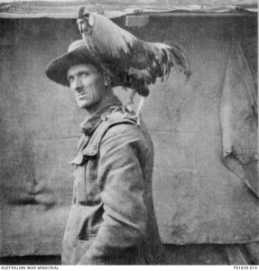 Walter Farrell of the 2nd Divisional Signals Company with unit mascot Jack, France, 1917. Jack was a better guard than a dog; he attacked any stranger who entered the unit lines. Image courtesy Australian War Memorial.