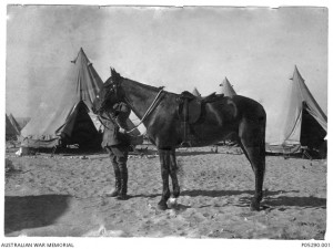 Major General Sir William Throsby Bridges and his mount, Sandy, at Mena, Egypt, in 1915. Sandy was the only Australian horse to return from WWI. Image courtesy Australian War Memorial.