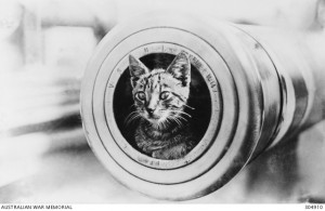 The feline mascot of the light cruiser HMAS Encounter, peering from the muzzle of a 6 inch gun. Image courtesy Australian War Memorial.