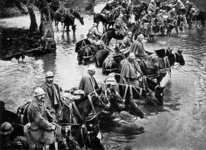 French horses resting in a river on their way to Verdun. Image courtesy National Geographic, Vol 31 1917, p. 338.