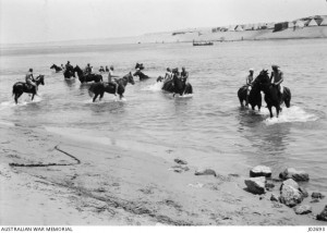 Members of the 3rd Australian Light Horse Field Ambulance swimming their horses in the Suez Canal 1916. Image courtesy Australian War Memorial.