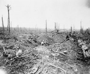 British soldiers digging a communication trench through Delville Wood, John Warwick Brooke, July 1916. Image courtesy Imperial War Museum ©IWM (Q 4417).