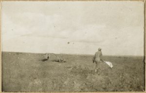 Looking for wounded on the Western Front under protection of a white flag 1916, William Henry Thornhill Burrell. Image courtesy Mitchell Library, State Library of New South Wales.
