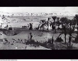 A view of Romani, Fred Harold Tomlins, August 1916. Image courtesy Australian War Memorial.