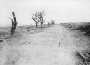 The road leading to Guillemont, Ernest Brooks, 10 September 1916. Image courtesy Imperial War Museum © IWM (Q 1162).