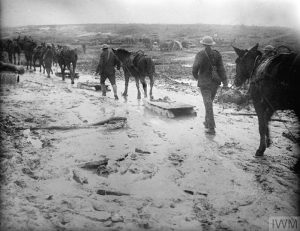 Horses drag sleighs, used to convey wounded over muddy ground at Le Sars, October 1916. Image courtesy Imperial War Museum © IWM (Q 1495).