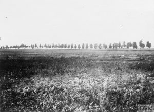 Camouflaged gun and positions, near Sailly-Saillisel, Peronne-Bapaume Road in rear, September 1916. Image courtesy Imperial War Museum © IWM (Q 42232).